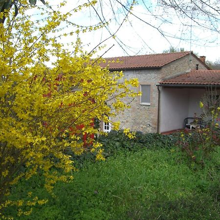 Agriturismo La Selva Villa Siena Exterior photo