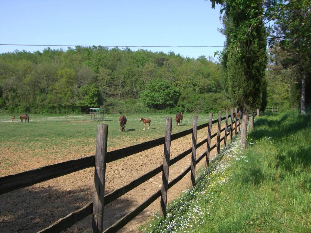 Agriturismo La Selva Villa Siena Exterior photo